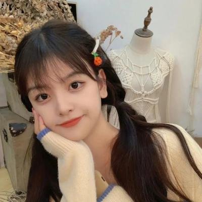 名侦探柯南：本厅的刑警恋爱故事～结婚前夜～